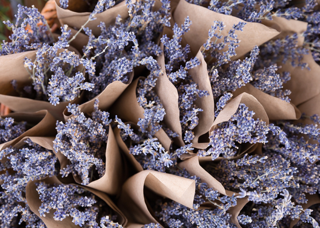 fragrant lavender flower bunches