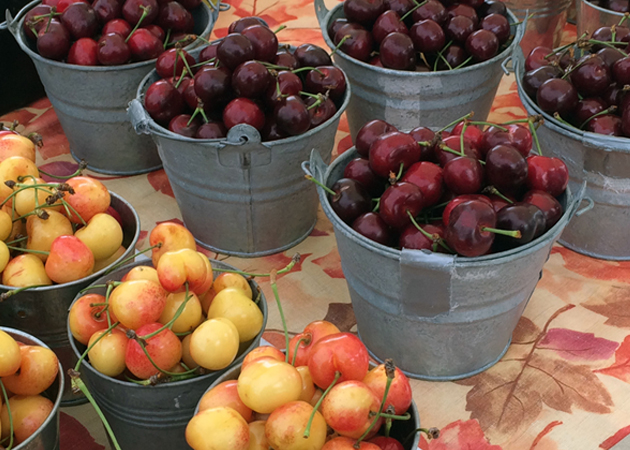 Cherries at Minazzoli Farm's booth