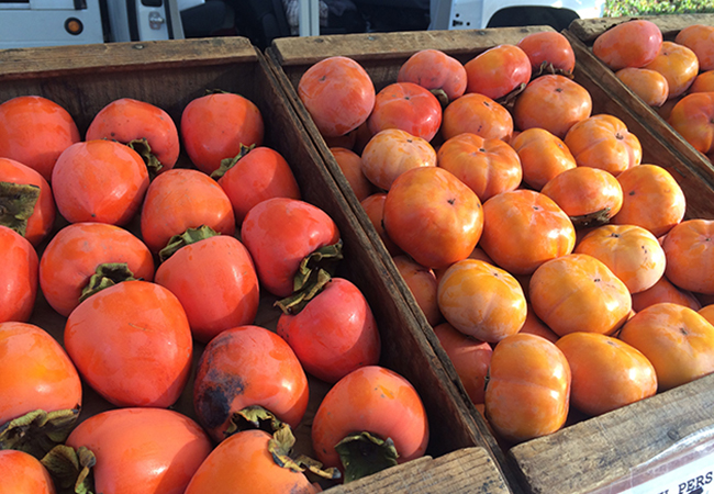 Persimmon display at Minazzoli Farm's booth